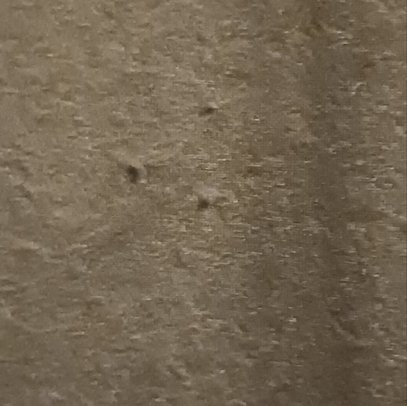 Black maxi skirt with side split sz lg - Picture 7 of 8